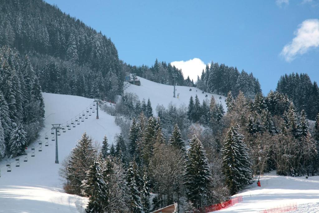 City Apartments Mozart Zell am See Dış mekan fotoğraf